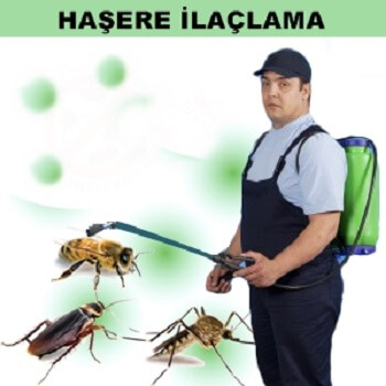 Erzurum Böcek İlaçlama